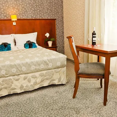 酒店 Hotel&spa Stary Basen Swimming Pool