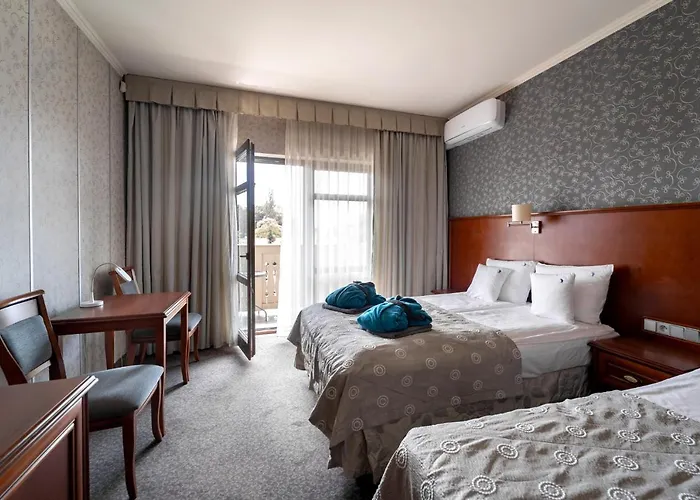 Hotel&spa Stary Basen Swimming Pool