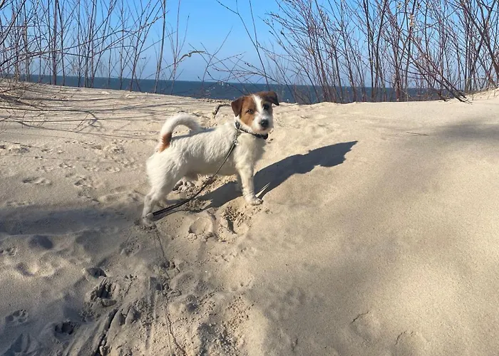 Hotel&spa Stary Basen Swimming Pool 3* Dziwnów