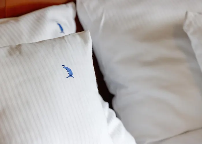 Hotel&spa Stary Basen Swimming Pool Dziwnów