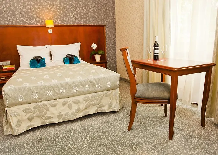 Hotel Hotel&spa Stary Basen Swimming Pool